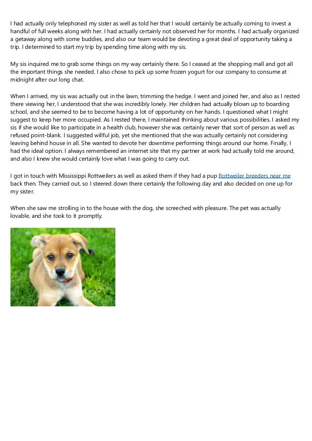 pedigree rottweiler puppies for sale