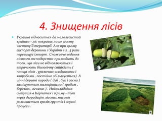 4. Знищення лісів
 Украина відноситься до малолесистой
країнам - ліс покриває лише шосту
частину її території. Але при цьому
експорт деревини з України в 2 , 5 рази
перевищує імпорт . Споживче ведення
лісового господарства призводить до
того , що ліси не відновлюються і
втрачають біологічну стійкість (
площа лісів , уражених шкідниками і
хворобами , постійно збільшується). А
цінні деревні породи ( дуб , бук і сосна )
заміщуються малоцінними ( грабом ,
березою , осикою ) . Найскладніша
ситуація в Карпатах і Криму - тут
через деградацію лісових масивів
розвивається ерозія грунтів і зсувні
процеси .
 