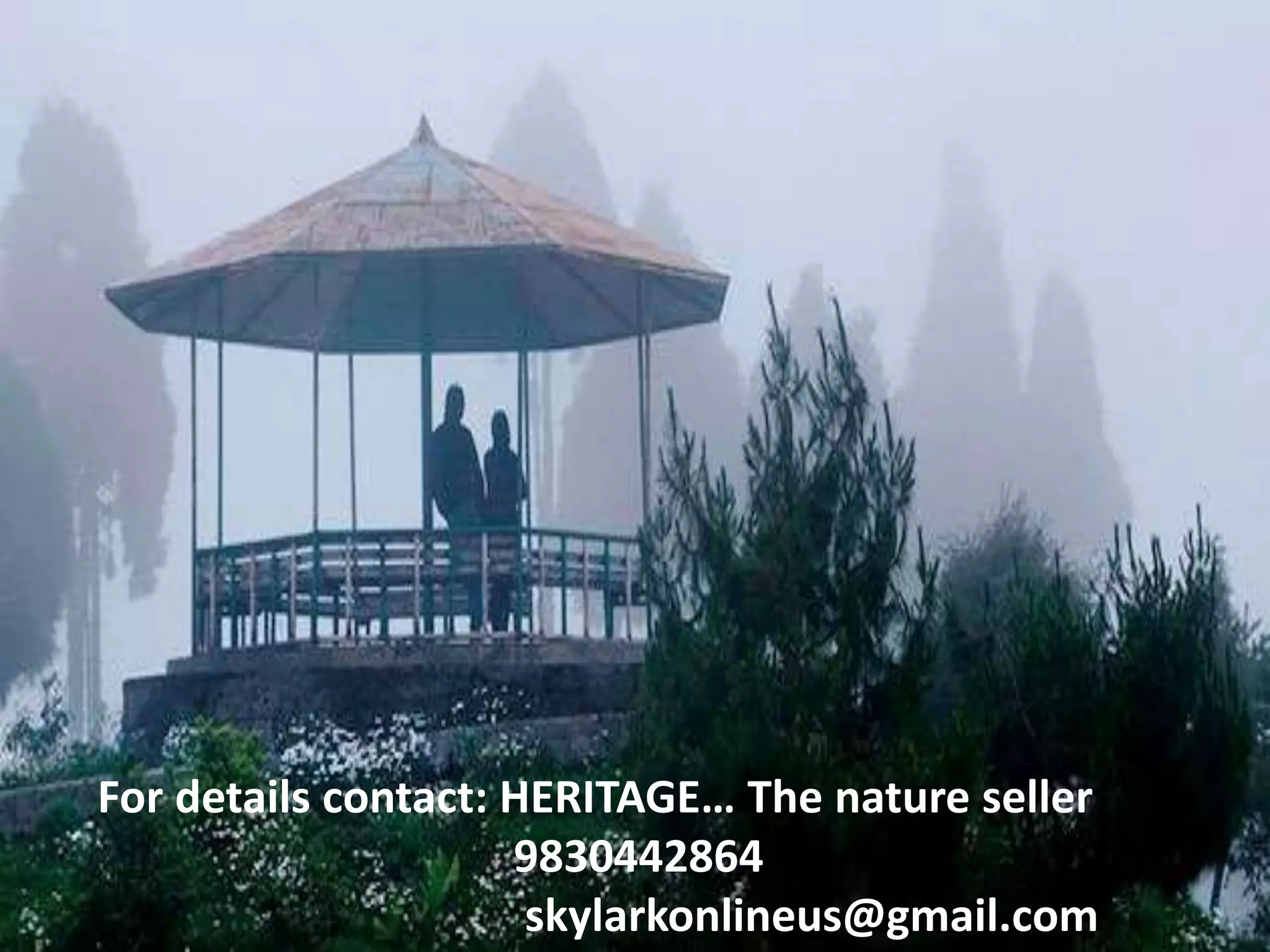 For details contact: HERITAGE… The nature seller
9830442864
skylarkonlineus@gmail.com