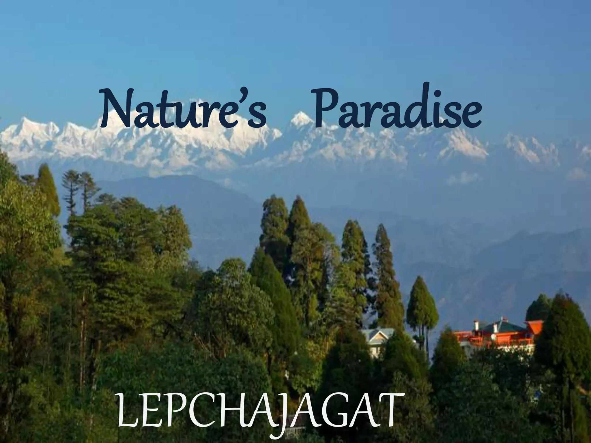 Nature’s Paradise
LEPCHAJAGAT
