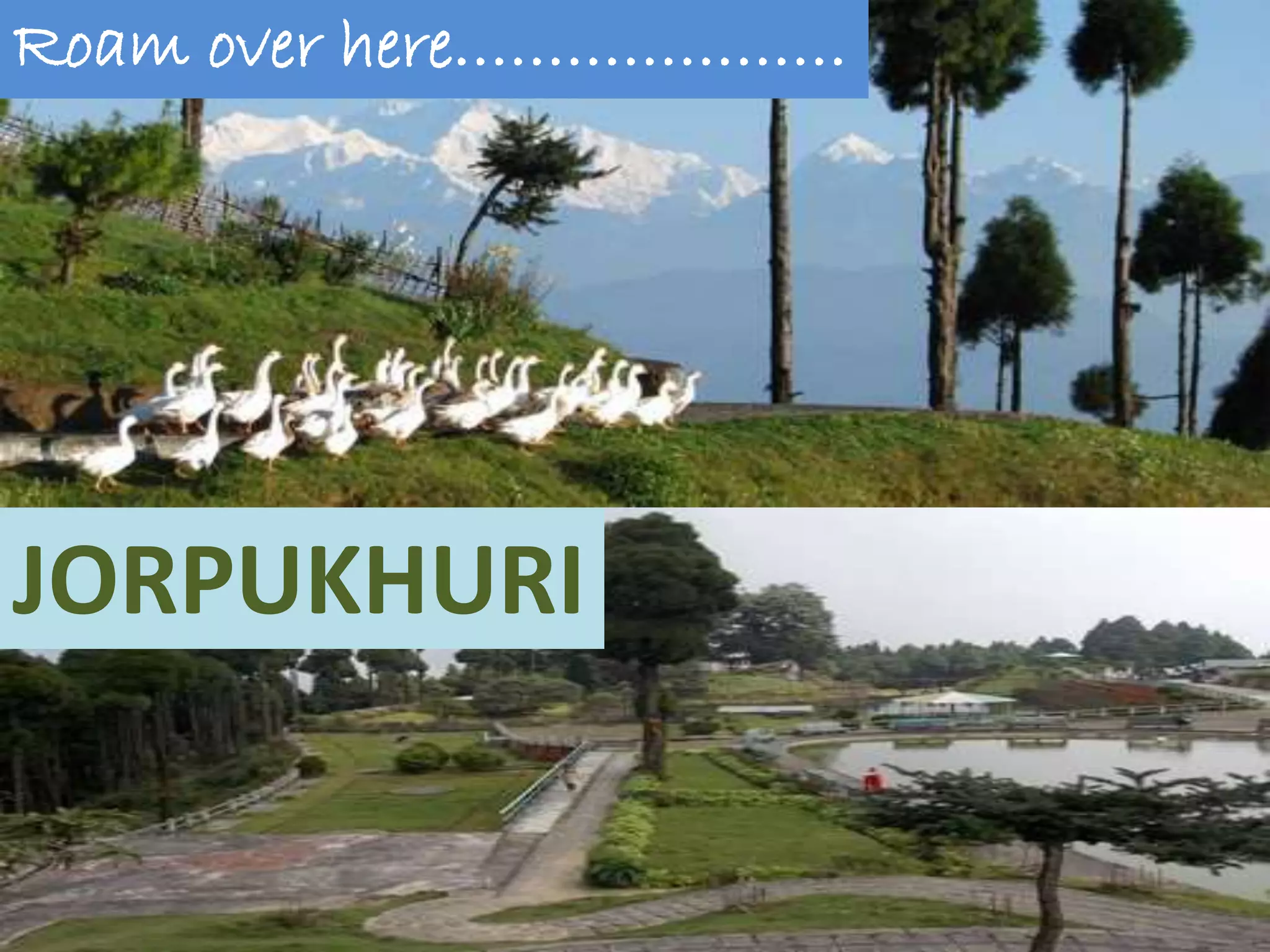 JORPUKHURI
Roam over here…………………