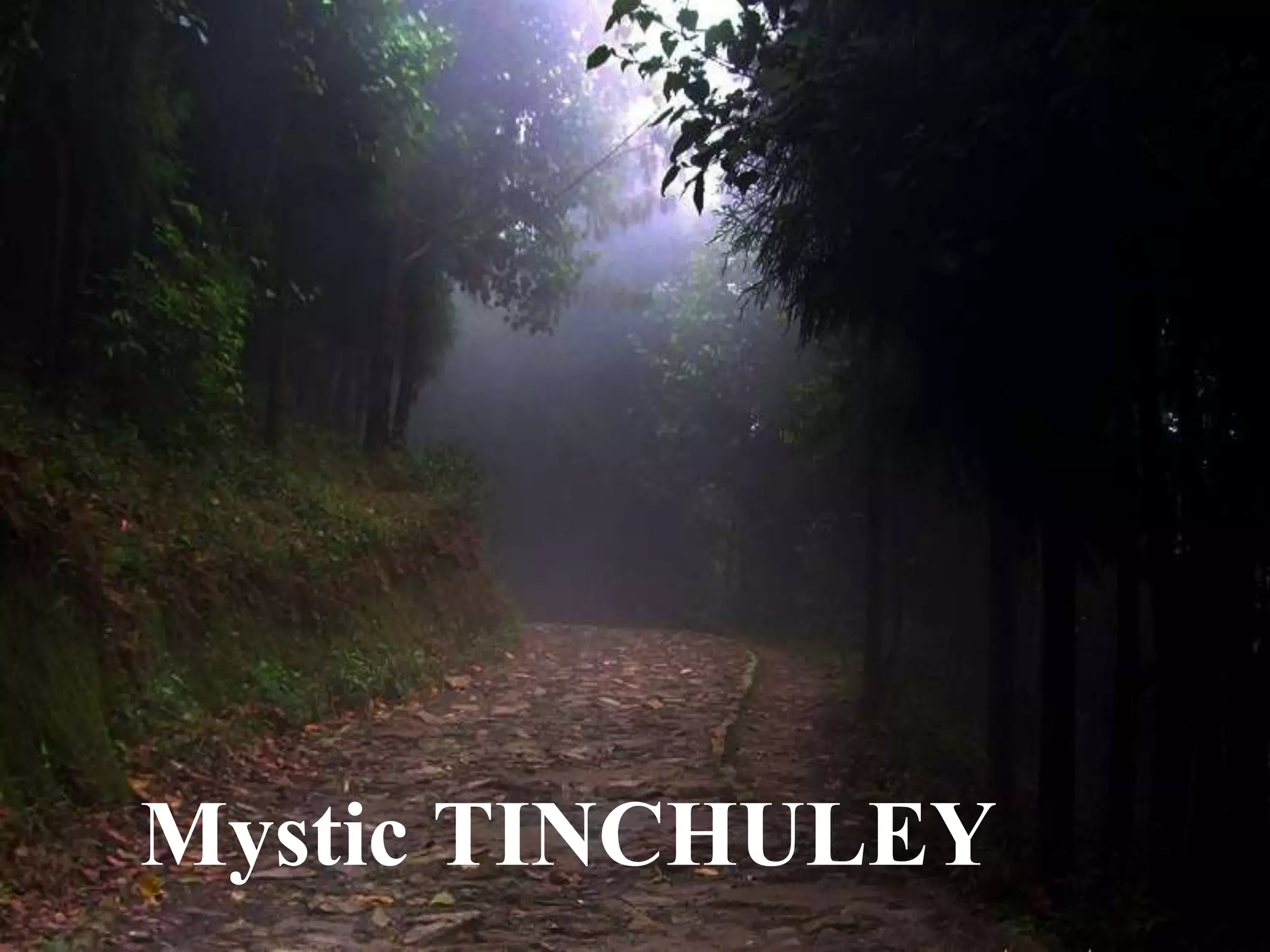 Mystic TINCHULEY