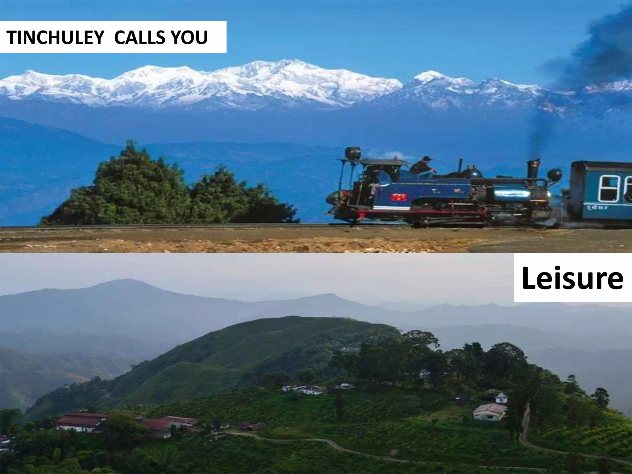 Leisure
TINCHULEY WHISPERS THE LOVE
TINCHULEY CALLS YOU