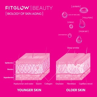 SKIN CARE
[UV RAYS ]
[POLLUTION ]
[LACK OF SKIN CARE ]
[STRESS ]
[DEHYDRATION ]
[POOR DIET ]
[BIOLOGY OF SKIN AGING ]
 
