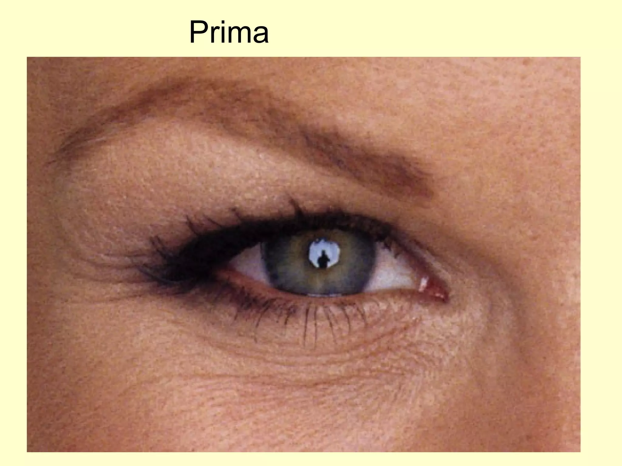 Prima