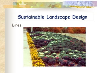 Sustainable Landscape Design
Lines
 