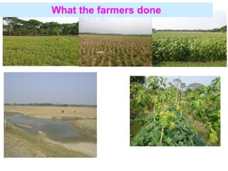 Adaptation strategy for crop production in changing climate: Saline-prone Barisal region