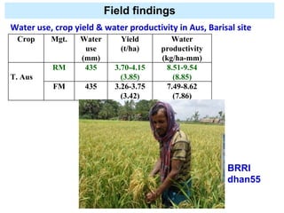 Adaptation strategy for crop production in changing climate: Saline-prone Barisal region