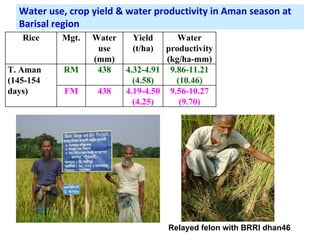 Adaptation strategy for crop production in changing climate: Saline-prone Barisal region