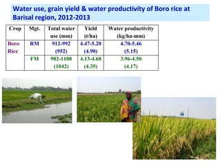 Adaptation strategy for crop production in changing climate: Saline-prone Barisal region
