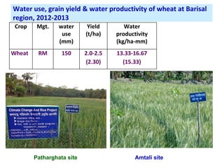 Adaptation strategy for crop production in changing climate: Saline-prone Barisal region