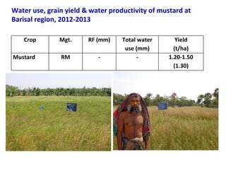 Adaptation strategy for crop production in changing climate: Saline-prone Barisal region