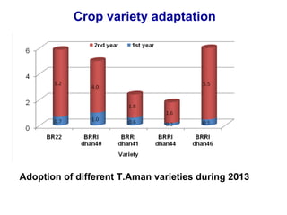 Adaptation strategy for crop production in changing climate: Saline-prone Barisal region