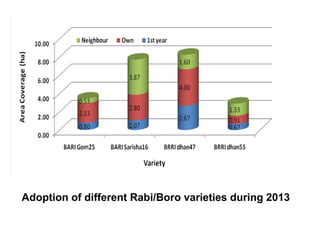 Adaptation strategy for crop production in changing climate: Saline-prone Barisal region