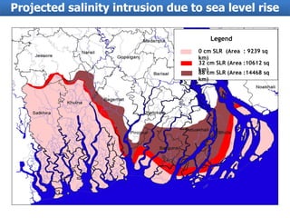 Projected salinity intrusion due to sea level rise 
Legend 
0 cm SLR (Area : 9239 sq 
km) 
32 cm SLR (Area :10612 sq 
km) ...