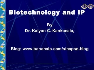 Biotechnology and IP
By
Dr. Kalyan C. Kankanala,
Blog: www.bananaip.com/sinapse-blog
 