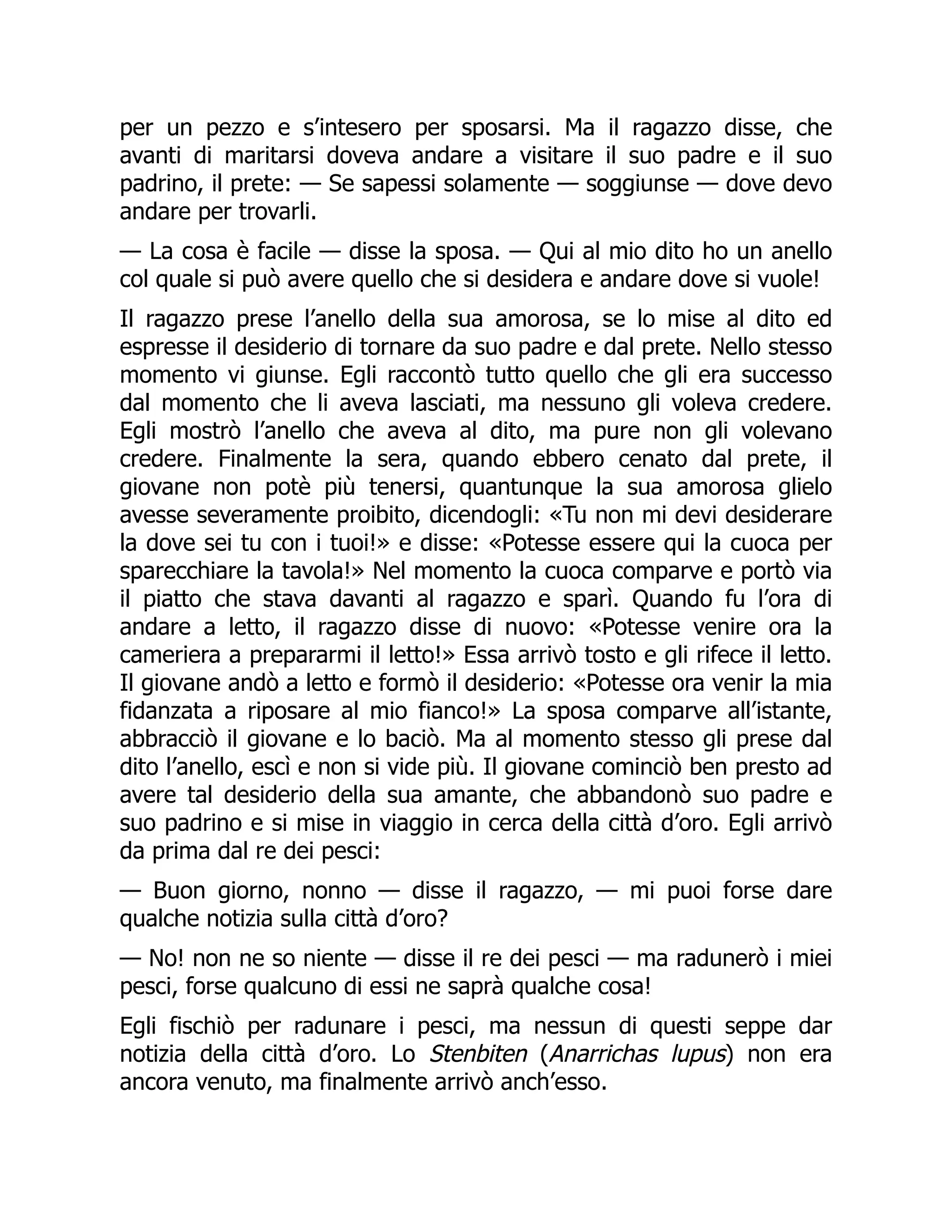 per un pezzo e s’intesero per sposarsi. Ma il ragazzo disse, che
avanti di maritarsi doveva andare a visitare il suo padre e il suo
padrino, il prete: — Se sapessi solamente — soggiunse — dove devo
andare per trovarli.
— La cosa è facile — disse la sposa. — Qui al mio dito ho un anello
col quale si può avere quello che si desidera e andare dove si vuole!
Il ragazzo prese l’anello della sua amorosa, se lo mise al dito ed
espresse il desiderio di tornare da suo padre e dal prete. Nello stesso
momento vi giunse. Egli raccontò tutto quello che gli era successo
dal momento che li aveva lasciati, ma nessuno gli voleva credere.
Egli mostrò l’anello che aveva al dito, ma pure non gli volevano
credere. Finalmente la sera, quando ebbero cenato dal prete, il
giovane non potè più tenersi, quantunque la sua amorosa glielo
avesse severamente proibito, dicendogli: «Tu non mi devi desiderare
la dove sei tu con i tuoi!» e disse: «Potesse essere qui la cuoca per
sparecchiare la tavola!» Nel momento la cuoca comparve e portò via
il piatto che stava davanti al ragazzo e sparì. Quando fu l’ora di
andare a letto, il ragazzo disse di nuovo: «Potesse venire ora la
cameriera a prepararmi il letto!» Essa arrivò tosto e gli rifece il letto.
Il giovane andò a letto e formò il desiderio: «Potesse ora venir la mia
fidanzata a riposare al mio fianco!» La sposa comparve all’istante,
abbracciò il giovane e lo baciò. Ma al momento stesso gli prese dal
dito l’anello, escì e non si vide più. Il giovane cominciò ben presto ad
avere tal desiderio della sua amante, che abbandonò suo padre e
suo padrino e si mise in viaggio in cerca della città d’oro. Egli arrivò
da prima dal re dei pesci:
— Buon giorno, nonno — disse il ragazzo, — mi puoi forse dare
qualche notizia sulla città d’oro?
— No! non ne so niente — disse il re dei pesci — ma radunerò i miei
pesci, forse qualcuno di essi ne saprà qualche cosa!
Egli fischiò per radunare i pesci, ma nessun di questi seppe dar
notizia della città d’oro. Lo Stenbiten (Anarrichas lupus) non era
ancora venuto, ma finalmente arrivò anch’esso.
 