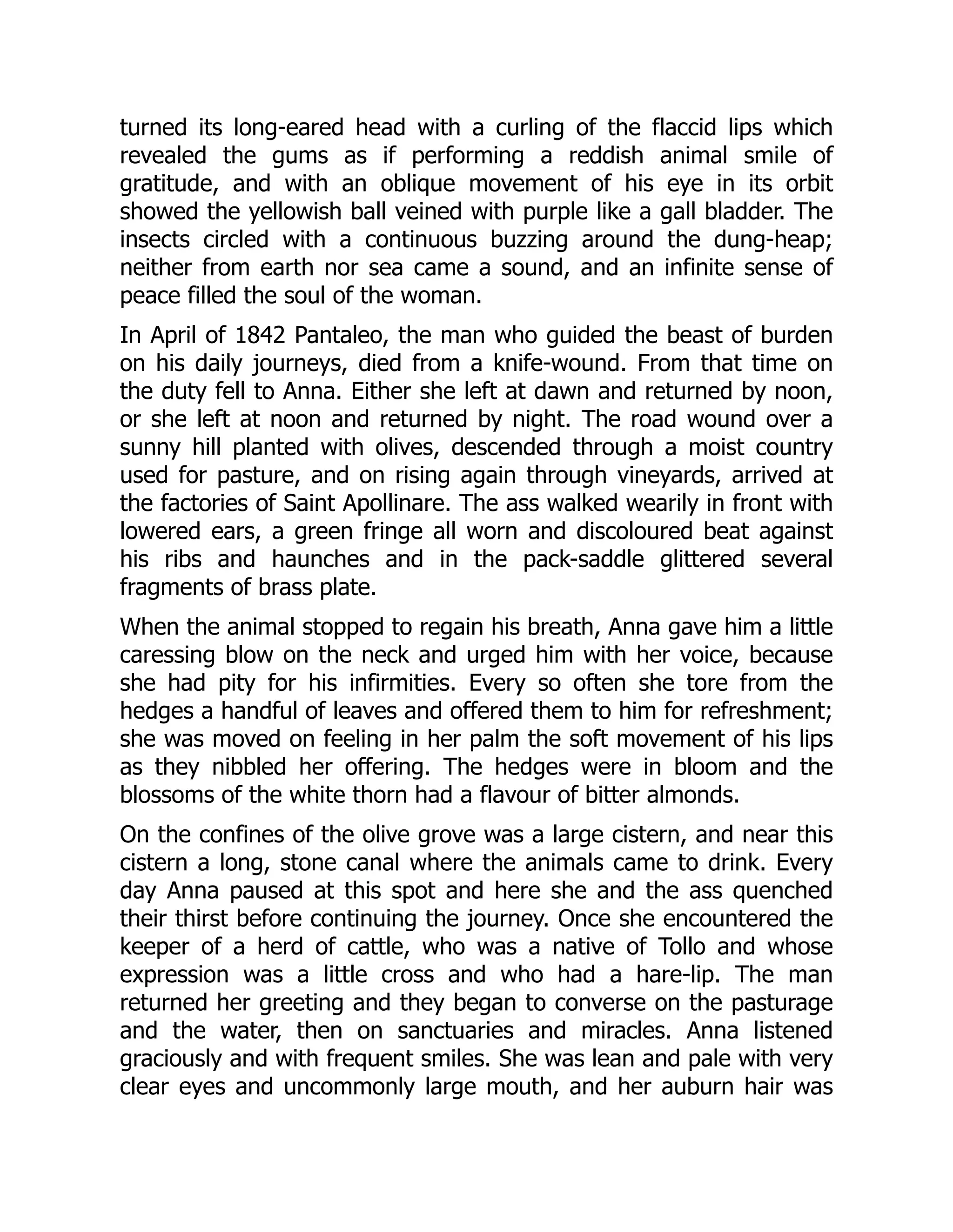 turned its long-eared head with a curling of the flaccid lips which
revealed the gums as if performing a reddish animal smile of
gratitude, and with an oblique movement of his eye in its orbit
showed the yellowish ball veined with purple like a gall bladder. The
insects circled with a continuous buzzing around the dung-heap;
neither from earth nor sea came a sound, and an infinite sense of
peace filled the soul of the woman.
In April of 1842 Pantaleo, the man who guided the beast of burden
on his daily journeys, died from a knife-wound. From that time on
the duty fell to Anna. Either she left at dawn and returned by noon,
or she left at noon and returned by night. The road wound over a
sunny hill planted with olives, descended through a moist country
used for pasture, and on rising again through vineyards, arrived at
the factories of Saint Apollinare. The ass walked wearily in front with
lowered ears, a green fringe all worn and discoloured beat against
his ribs and haunches and in the pack-saddle glittered several
fragments of brass plate.
When the animal stopped to regain his breath, Anna gave him a little
caressing blow on the neck and urged him with her voice, because
she had pity for his infirmities. Every so often she tore from the
hedges a handful of leaves and offered them to him for refreshment;
she was moved on feeling in her palm the soft movement of his lips
as they nibbled her offering. The hedges were in bloom and the
blossoms of the white thorn had a flavour of bitter almonds.
On the confines of the olive grove was a large cistern, and near this
cistern a long, stone canal where the animals came to drink. Every
day Anna paused at this spot and here she and the ass quenched
their thirst before continuing the journey. Once she encountered the
keeper of a herd of cattle, who was a native of Tollo and whose
expression was a little cross and who had a hare-lip. The man
returned her greeting and they began to converse on the pasturage
and the water, then on sanctuaries and miracles. Anna listened
graciously and with frequent smiles. She was lean and pale with very
clear eyes and uncommonly large mouth, and her auburn hair was
 