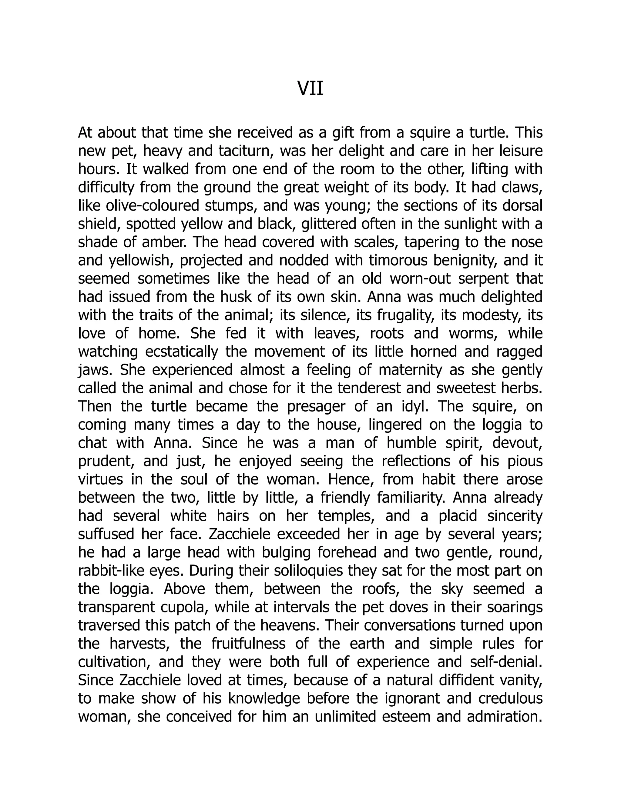VII
At about that time she received as a gift from a squire a turtle. This
new pet, heavy and taciturn, was her delight and care in her leisure
hours. It walked from one end of the room to the other, lifting with
difficulty from the ground the great weight of its body. It had claws,
like olive-coloured stumps, and was young; the sections of its dorsal
shield, spotted yellow and black, glittered often in the sunlight with a
shade of amber. The head covered with scales, tapering to the nose
and yellowish, projected and nodded with timorous benignity, and it
seemed sometimes like the head of an old worn-out serpent that
had issued from the husk of its own skin. Anna was much delighted
with the traits of the animal; its silence, its frugality, its modesty, its
love of home. She fed it with leaves, roots and worms, while
watching ecstatically the movement of its little horned and ragged
jaws. She experienced almost a feeling of maternity as she gently
called the animal and chose for it the tenderest and sweetest herbs.
Then the turtle became the presager of an idyl. The squire, on
coming many times a day to the house, lingered on the loggia to
chat with Anna. Since he was a man of humble spirit, devout,
prudent, and just, he enjoyed seeing the reflections of his pious
virtues in the soul of the woman. Hence, from habit there arose
between the two, little by little, a friendly familiarity. Anna already
had several white hairs on her temples, and a placid sincerity
suffused her face. Zacchiele exceeded her in age by several years;
he had a large head with bulging forehead and two gentle, round,
rabbit-like eyes. During their soliloquies they sat for the most part on
the loggia. Above them, between the roofs, the sky seemed a
transparent cupola, while at intervals the pet doves in their soarings
traversed this patch of the heavens. Their conversations turned upon
the harvests, the fruitfulness of the earth and simple rules for
cultivation, and they were both full of experience and self-denial.
Since Zacchiele loved at times, because of a natural diffident vanity,
to make show of his knowledge before the ignorant and credulous
woman, she conceived for him an unlimited esteem and admiration.
 