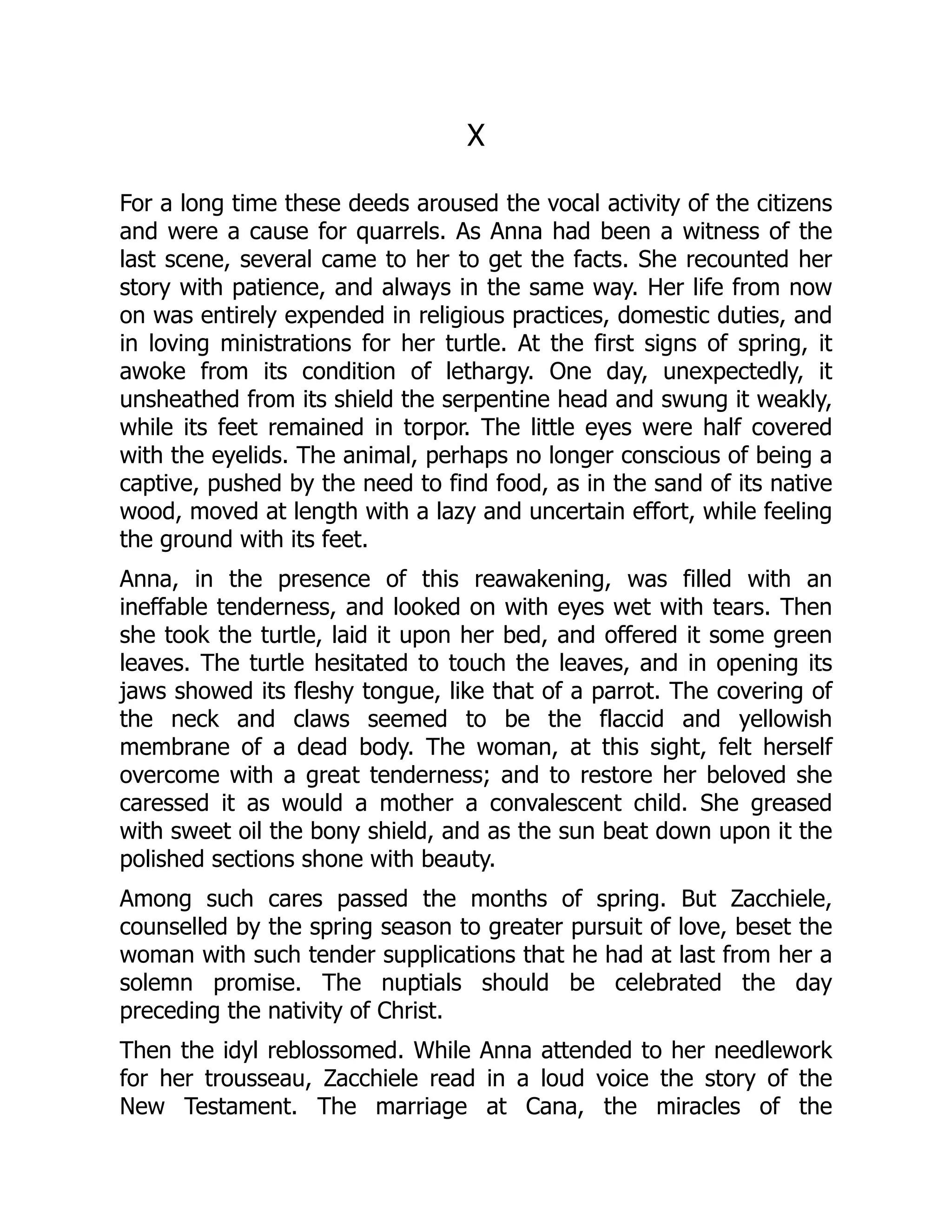 X
For a long time these deeds aroused the vocal activity of the citizens
and were a cause for quarrels. As Anna had been a witness of the
last scene, several came to her to get the facts. She recounted her
story with patience, and always in the same way. Her life from now
on was entirely expended in religious practices, domestic duties, and
in loving ministrations for her turtle. At the first signs of spring, it
awoke from its condition of lethargy. One day, unexpectedly, it
unsheathed from its shield the serpentine head and swung it weakly,
while its feet remained in torpor. The little eyes were half covered
with the eyelids. The animal, perhaps no longer conscious of being a
captive, pushed by the need to find food, as in the sand of its native
wood, moved at length with a lazy and uncertain effort, while feeling
the ground with its feet.
Anna, in the presence of this reawakening, was filled with an
ineffable tenderness, and looked on with eyes wet with tears. Then
she took the turtle, laid it upon her bed, and offered it some green
leaves. The turtle hesitated to touch the leaves, and in opening its
jaws showed its fleshy tongue, like that of a parrot. The covering of
the neck and claws seemed to be the flaccid and yellowish
membrane of a dead body. The woman, at this sight, felt herself
overcome with a great tenderness; and to restore her beloved she
caressed it as would a mother a convalescent child. She greased
with sweet oil the bony shield, and as the sun beat down upon it the
polished sections shone with beauty.
Among such cares passed the months of spring. But Zacchiele,
counselled by the spring season to greater pursuit of love, beset the
woman with such tender supplications that he had at last from her a
solemn promise. The nuptials should be celebrated the day
preceding the nativity of Christ.
Then the idyl reblossomed. While Anna attended to her needlework
for her trousseau, Zacchiele read in a loud voice the story of the
New Testament. The marriage at Cana, the miracles of the
 