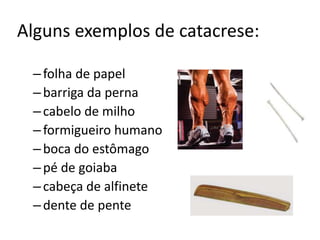 Alguns exemplos de catacrese:
–folha de papel
–barriga da perna
–cabelo de milho
–formigueiro humano
–boca do estômago
–pé de goiaba
–cabeça de alfinete
–dente de pente
 