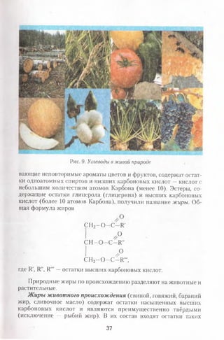 Рис, 9. Углеводы в живой природе
вающие неповторимые ароматы цветов и фруктов, содержат остат­
ки одноатомных спиртов и низших карбоновых кислот —кислот с
небольшим количеством атомов Карбона (менее 10). Эстеры, со­
держащие остатки глицерола (глицерина) и высших карбоновых
кислот (более 10 атомов Карбона), получили название жиры. Об­
щая формула жиров
СН2—О—С—И'
I ,рС Н -О -С -1 1 "
I ,°СН2- 0 - С - К " ',
где И', И", К'" —остатки высших карбоновых кислот.
Природные жиры по происхождению разделяют на животные и
растительные.
Ж иры животного происхождения (свиной, говяжий, бараний
жир, сливочное масло) содержат остатки насыщенных высших
карбоновых кислот и являются преимущественно твёрдыми
(исключение — рыбий жир). В их состав входят остатки таких
37
 