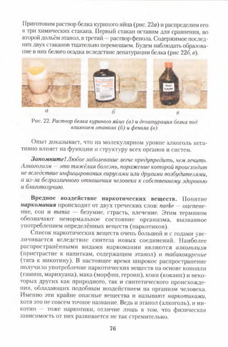 Приготовим раствор белка куримого яйца (рис. 22а) и распределим его
в три химических стакана. Первый стакан оставим для сравнения, во
второй дольём этанол, в третий —раствор фенола. Содержимое послед­
них двух стаканов тщательно перемешаем. Будем наблюдать образова­
ние в них белого осадка вследствие денатурации белка (рис 22б, в).
м н к
Рис. 22. Раствор белка куриного яйца (а) и денатурация белка под
влиянием этанола (б) и фенола (в)
Опыт доказывает, что на молекулярном уровне алкоголь нега­
тивно влияет на функции и структуру всех органов и систем.
Запомните!Любое заболевание легче предупредить, чем лечить.
Алкоголизм —это тяжёлая болезнь, поражение которой происходит
не вследствие инфицирования вирусами или другими возбудителями,
а из-за безразличного отношения человека к собственному здоровью
и благополучию.
Вредное воздействие наркотических веществ. Понятие
наркомания происходит от двух греческих слов: narke — оцепене­
ние, сон и mania — безумие, страсть, влечение. Этим термином
обозначают ненормальное состояние организма, вызванное
употреблением определённых веществ (наркотиков).
Список наркотических веществ очень большой и с годами уве­
личивается вследствие синтеза новых соединений. Наиболее
распространёнными видами наркомании являются алкоголизм
(пристрастие к напиткам, содержащим этанол) и табакокурение
(тяга к никотину). В настоящее время широкое распространение
получило употребление наркотических веществ на основе конопли
(гашиш, марихуана), мака (морфин, героин), коки (кокаин) и неко­
торых других как природного, так и синтетического происхожде­
ния, обладающих подобным воздействием на организм человека.
Именно эти крайне опасные вещества и называют наркотиками,
хотя это не совсем точное название. Ведь и этанол (алкоголь), и ни­
котин — тоже наркотики, отличие лишь в том, что физическая
зависимость от них развивается не так стремительно.
76
 