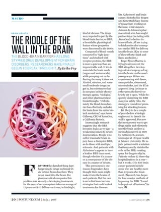 TheRiddleofthe
WallintheBrain
MACRO
OR YEARS the darndest thing kept
happening to drugs in clinical tri-
als to treat brain disorders: They
never made it to the brain. For
pharmaceutical companies this
problem was as costly—developing treatments
for the central nervous system takes an average of
15 years and $1.5 billion—as it was, in hindsight,
kind of obvious. The drugs
were impeded in part by the
blood-brain barrier, or BBB,
a formidable physiological
feature whose properties
were discovered in the 1880s.
Composed of blood vessels
connected by “tight junc-
tions” and studded with
receptor proteins, the BBB
is more a gateway than an
impenetrable wall. It lets in
materials the brain needs
(sugars and amino acids),
while pumping out or de-
ﬂecting the many it does not.
Alcohol, nicotine, and some
small-molecule drugs can
get in, but substances that
do not pass include chemo-
therapy agents, “biologics,”
and other pharmaceutical
breakthroughs. “Unfortu-
nately the blood-brain bar-
rier has effectively excluded
the brain from the entire bio-
tech revolution,” says James
Callaway, CEO of ArmaGen,
a California biotech.
Increasingly research
suggests that the BBB
becomes leaky as we age—a
weakening linked to neuro-
degeneration. People who
suffer traumatic brain in-
jury have a disrupted BBB,
as do those with multiple
sclerosis. And patients with
Alzheimer’s appear to have
a leakier BBB than most,
though whether it’s a cause
or a consequence of the dis-
ease is a matter of debate.
This porousness is one
reason drugmakers have
thought their meds might
make it into the brains of
such patients. But the race
is on to ﬁnd more certain
strategies that could unlock
treatments for diseases
like Alzheimer’s and brain
cancer. Biotechs like Biogen
and Genentech have dozens
of researchers working on
the issue, while Janssen,
Johnson & Johnson’s phar-
maceutical arm, has sought
partnerships (including with
ArmaGen) to bolster in-
house efforts. All are trying
to hitch molecules to recep-
tors on the BBB for delivery
into the brain. (Key to some
of these efforts: shark and
llama antibodies.)
Impel NeuroPharma is
trying to circumvent the
BBB altogether, develop-
ing a device to spray a drug
into the brain via the nose’s
passageways. Others are
experimenting with lasers,
nanoparticles, ultrasound,
microbubbles, and the FDA-
approved drug Lexiscan to
either cross the barrier or
brieﬂy pry it open. While fre-
quently disrupting the BBB
may pose safety risks, the
strategy is considered prom-
ising for attacking tumors.
It’s likely to be a couple
of years before a biologic
engineered to breach the
wall is approved. For now
the most proven way to get
drugs safely and effectively
into the brain involves a
method pioneered in 1979
by Ed Neuwelt, a neuro-
oncologist at Oregon Health
& Science University. He in-
jects patients with a solution
that temporarily shrinks the
cells in the BBB, creating
space for drugs to slip by.
Patients endure 12 three-day
hospitalizations in a year—
but it works. (His 450 brain
cancer patients include
some who are healthy more
than 25 years after treat-
ment.) Neuwelt, too, hopes
for less invasive methods of
bypassing the BBB. “I need
to be put out of business,” he
says.
F
THE BLOOD-BRAIN BARRIER HAS LONG
STYMIED DRUG DEVELOPMENT FOR BRAIN
DISORDERS. RESEARCHERS HAVE FINALLY
BEGUN TO BREAK THROUGH IT. By Erika Fry
B R A I N H E A LT H
20 FORTUNE.COM July 1, 2016 illustr ation by JVG
 