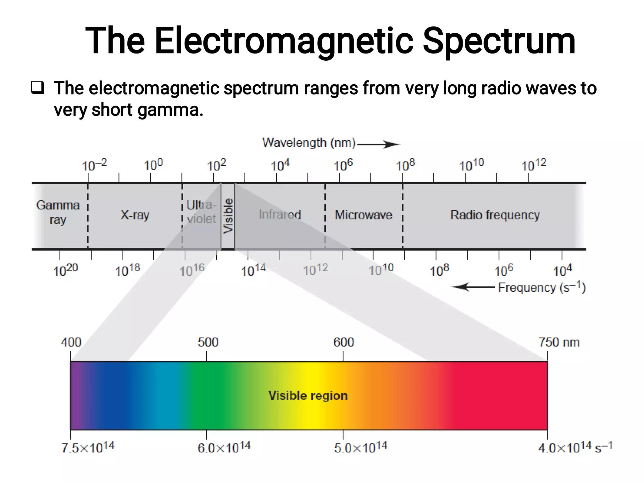 The Electromagnetic Spectrum
 The electromagnetic spectrum ranges from very long radio waves to
very short gamma.
 