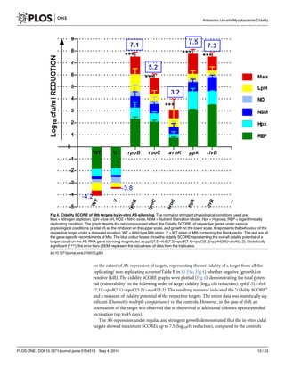 on the extent of AS-repression of targets, representing the net cidality of a target from all the
replicating/ non-replicating screens (Table B in S1 File, Fig 4) whether negative (growth) or
positive (kill). The cidality SCORE graphs were plotted (Fig 4), demonstrating the total poten-
tial (vulnerability) in the following order of target cidality (log10 cfu reduction): ppk(7.5)>ilvB
(7.3)>rpoB(7.1)>rpoC(5.2)>aroK(3.2). The resulting numeral indicated the “cidality SCORE”
and a measure of cidality potential of the respective targets. The entire data was statistically sig-
nificant (Dunnett’s multiple comparisons) vs. the controls. However, in the case of ilvB, an
attenuation of the target was observed due to the revival of additional colonies upon extended
incubation (up to 45 days).
The AS-repression under regular and stringent growth demonstrated that the in-vitro cidal
targets showed maximum SCOREs up to 7.5 (log10cfu reduction), compared to the controls
Fig 4. Cidality SCORE of Mtb targets by in-vitro AS-silencing. The normal or stringent physiological conditions used are:
Msx = Nitrogen depletion, LpH = low pH, NO2 = Nitric oxide, NSM = Nutrient Starvation Model, Hpx = Hypoxia, REP = logarithmically
replicating condition. The graph depicts the net compounded effect, the Cidality SCORE, of respective genes under various
physiological conditions (a total of) as the inhibition on the upper scale, and growth on the lower scale. It represents the behaviour of the
respective target under a diseased situation. WT = Wild-type Mtb strain, V = WT strain of Mtb containing the blank vector. The rest are all
the gene-specific recombinants of Mtb. The blue colour boxes show the cidality SCORE representing the overall cidality potential of a
target based on the AS-RNA gene silencing magnitudes as ppk(7.5)>ilvB(7.3)>rpoB(7.1)>rpoC(5.2)>pyrH(3.6)>aroK(3.2). Statistically
significant (***), the error bars (SEM) represent the robustness of data from the triplicates.
doi:10.1371/journal.pone.0154513.g004
Antisense Unveils Mycobacterial Cidality
PLOS ONE | DOI:10.1371/journal.pone.0154513 May 4, 2016 10 / 23
 