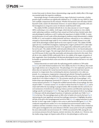 in mice from acute to chronic; hence, demonstrating a stage-specific cidality effect, if the target
was essential under the respective conditions.
Interestingly during 4–8 weeks period (chronic stage of infection) in particular, a further
growth of ppk recombinant was significantly inhibited (ns, P = 0.1080, one-way ANOVA, Dun-
nett’s multiple comparisons) by the antisense. Whether the bacterial count will reduce further
beyond 8-weeks, needs to be determined. However, we need to delayer it separately, with care-
ful investigations in a long term course-of-infection model beyond 8-weeks.
The cidality SCORE correlated well with the in-vivo data outcome in 4 out of 5 targets
(80%) confirming in-vivo-cidality. AroK target, which showed a moderate in-vitro cidality
under replicating condition, would have been missed out if had not been checked under alter-
nate physiological conditions as well. It outlines the importance of cidality-SCORE. A consis-
tent performance of aroK under all the physiological conditions tested demonstrated a cidality
SCORE of 3.2, and revealed its cidality potential; and hence, selected for in-vivo validation. It
emerged as a bactericidal target under in-vivo condition also, probably because it was cidal
under all the physiologies studied. RpoB was far more superior to rpoC. The cidality-SCORE
approach was a worthwhile investigation, implying that a target is preferred if it is cidal under
all the physiologies encountered in the host. It was apparently confirmed by rpoB and aroK,
but not by rpoC. The cidality SCORE could intricately delineate the in-vivo bactericidal poten-
tial of rpoB and rpoC targets. The only target which did not show in-vitro to in-vivo correlation
was ilvB, because of other issues like auxotrophy and attenuation observed in this study. Over-
all, the in-vitro cidality SCORE could predict the in-vivo cidality of the targets, irrespective of
their magnitudes. Since frontloading of all alternate physiological screens in parallel may not
be feasible; we questioned which screen out of the six conditions tested is the best in-vivo cidal-
ity predictor?
Antimycobacterials are tested under the replicating growth conditions in 7H9 media
[8,36,37], and confer limited translation of in-vitro cidality into the in-vivo efficacy, thus result-
ing in high attrition rate in drug discovery. This physiology of ‘in-vitro replication’ growth con-
dition does not represent the ‘actual microenvironment encountered under host immune
pressures’ to a large extent, thus overlooking the selection of potential in-vivo cidal com-
pounds. As a consequence, inappropriate compounds get selected. During the paradoxical
intra-macrophagic phase, the acidification renders Mtb almost inactive, even before it under-
stands the in-vivo milieu to adapt in [38]. The activation-specific pH of macrophage (~6.2),
further drops upon phagosome-lysosomal (P-L) fusion to ~4.5 within 15 to 60 minutes under
various immune pressures [39]. Despite this acidified external milieu of macrophage, the inter-
nal pH of Mtb (~7) remains neutral [40]. In order to refrain from the P-L fusion (Fig 2), and to
retain itself within the macrophage to progress further, Mtb invariably fools the system by sev-
eral mechanisms of interference by inducing virulence proteins and efficiently expressing mac-
rophage-specific survival genes [39,41]. The stage-specific transcriptome levels in macrophage
[42] fluctuate with the physiological transitions of replication and death rate (Table C in S1
File) in the host. The macrophage attack on Mtb is the 1st battle to be won by the host (Fig 2)
representing the most significant universal host-pathogen interaction. It highlights the poten-
tial link of low pH to the intraphagosomal survival of Mtb [42–45], urging researchers to simu-
late this ‘in-host’ stage under a single in-vitro screen to select bactericidal agents [43,44]. We
conducted comprehensive studies on in-vivo simulated microenvironments under in-vitro
conditions and their correlation versus in-vivo cidality data. This correlation from a limited set
of five genes investigated in the acute infection in BALB/c mouse point to low pH as probably
the most unfavourable microenvironment (R = 0.9856) encountered by Mtb, among the vari-
ous immune pressures (low pH, hypoxia, nutrient starvation, free radicals, etc.). However, sim-
ilar studies using a larger set of genes under all the in-vitro physiologies as well as more
Antisense Unveils Mycobacterial Cidality
PLOS ONE | DOI:10.1371/journal.pone.0154513 May 4, 2016 16 / 23
 