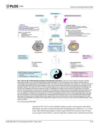 expected, the WT and V controls exhibited condition-specific, normal growth under all the
physiologies. Since ppk was reported cidal under proliferating assay conditions [13,22]; in this
study, under different physiological conditions, ppk exhibited the maximum total AS-repres-
sion among the tested. Whereas, under the replication condition alone, ilvB had demonstrated
Fig 2. TB or No TB: A delicate balance between host-pathogen interactions. There are various hostile or stringent conditions
encountered by Mtb in-vivo in the host. Mtb enters the host via inhalation. The first encounter in-vivo is with the immune cells: the
macrophages which phagocytose and attack Mtb with their ammunition like low pH, hydrolases, free-radicals, etc. This first encounter is
unanimously responded by all the hosts irrespective of their immune status. Beyond this point, the countering of the pathogen is host
population specific. The outcome as TB or no-TB is a delicate balance and is outcome result of the battles between the pathogen and
the immuno-competence of the host to outsmart. Further, it progresses into a larger immune structure: the granuloma. During the
process, the other stresses in the granuloma, especially in the caseating/ necrotizing lesions are the gradually decreasing levels of O2,
N, C, etc. representing hypoxia, the arrest of various biosynthesis processes and poor nutrition nearly close to starvation. If the host
wins, the pathogen is contained in the solid granuloma, which may gradually heal with time. But in case the pathogen Mtb overpowers
the immune pressure, the granuloma progresses as a caseating and necrotising granuloma. In this case Mtb bacilli multiply to finally
break open from granuloma, and disseminate to other organs of the body or come out into the bronchi and get coughed out to infect
other hosts. We attempted to simulate some of these stress conditions in the form of various in-vitro screens to identify the ideal in-vitro
screen/ condition.
doi:10.1371/journal.pone.0154513.g002
Antisense Unveils Mycobacterial Cidality
PLOS ONE | DOI:10.1371/journal.pone.0154513 May 4, 2016 8 / 23
 