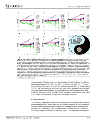 maximum cidality. The other targets were also significantly (P<0.001) silenced with different
cidality magnitudes: ppk(7.5)>ilvB(7.3)>rpoB(7.1)>rpoC(5.2)>aroK(3.2) (Fig 3). The strin-
gent conditions where most of the targets were cidal, showed a rank-order for the starvation of
N>C>O>pH. Surprisingly, the genes rpoB, rpoC, aroK, and ppk were significantly repressed
upon the exposure to acid. However, starvation data revealed that Nitrogen depletion (Msx)
accelerated “silencing of most of the targets in-vitro” followed by nitric oxide (NO) and low pH
(LpH) pressures as compared to the replicating (REP) growth conditions.
Cidality SCORE
TB is a complex disease where Mtb can efficiently demonstrate multiple dimensions of patho-
genesis under paradoxical milieus of the host. We asked the question if the total compounded
sum of all these stringent pressures on a target would show a potential link between in-vivo
persistence; as it would behave under multiple milieus in a diseased situation? Therefore, we
calculated a ‘compounded potential’ of the chosen targets. The SCOREs were assigned based
Fig 3. Survival kinetics of AS-silenced Mtb under different in-vitro physiologies. Survival kinetics of AS-recombinants: (A) rpoB,
(B) rpoC, (C) ppk, (D) aroK, and (E) ilvB; under granuloma simulated (F), replicating and non-replicating (dormant) in-vitro growth
conditions, showed target vulnerability specific cidality. Various conditions tested: Replicating (REP) growth condition as solid circles,
Nutrient starvation (NSM) as solid square, Hypoxia (Hpx) as solid vertical triangle, Nitric oxide (NO) model as solid inverted triangle, Low
pH (LpH) as bottom solid square, Nitrogen depletion (Msx) condition as the left solid square. The graph represents plots of log10 cfu/ml
vs. no. of days, studied up to 35 days. V and WT are plotted with all the genes as controls for a comparison. All the symbols have been
kept uniform for the respective assay conditions throughout. WT is RED; Vector is BLUE, and the gene-specific AS-recombinants of Mtb
are in GREEN colour. The error bars (SEM) from independent triplicates represent the robustness of data. The data for WT and V are
common in all the graphs, for an easy comparison with the green ones- the gene specific. Although Mtb can withstand and emerge
successfully from various physiological pressures encountered in-host; a target is superior if, it is bactericidal under all or most of those
physiological constraints upon specific inhibition. The targets were significantly (P<0.001) silenced with different cidality magnitudes:
ppk (7.5)>ilvB (7.3)>rpoB (7.1)>rpoC (5.2)>aroK (3.2).
doi:10.1371/journal.pone.0154513.g003
Antisense Unveils Mycobacterial Cidality
PLOS ONE | DOI:10.1371/journal.pone.0154513 May 4, 2016 9 / 23
 