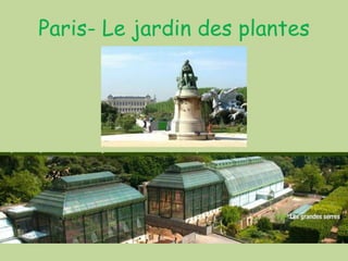 Paris- Le jardin des plantes
 