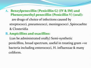 A. Benzylpenecillin (Penicillin G) (IV & IM) and
Phenoxymethyl penecillin (Penicillin V) (oral):
are drugs of choice of infections caused by
streptococci, pneumococci, meningococci ,Spirocaehte
& Closteridia
B. Ampicillins and oxacillins:
(can be administrated orally) Semi-synthetic
penicillins, broad spectrum, useful in treating gram +ve
bacteria including enterococci, H. influenzae & many
coliform.
 