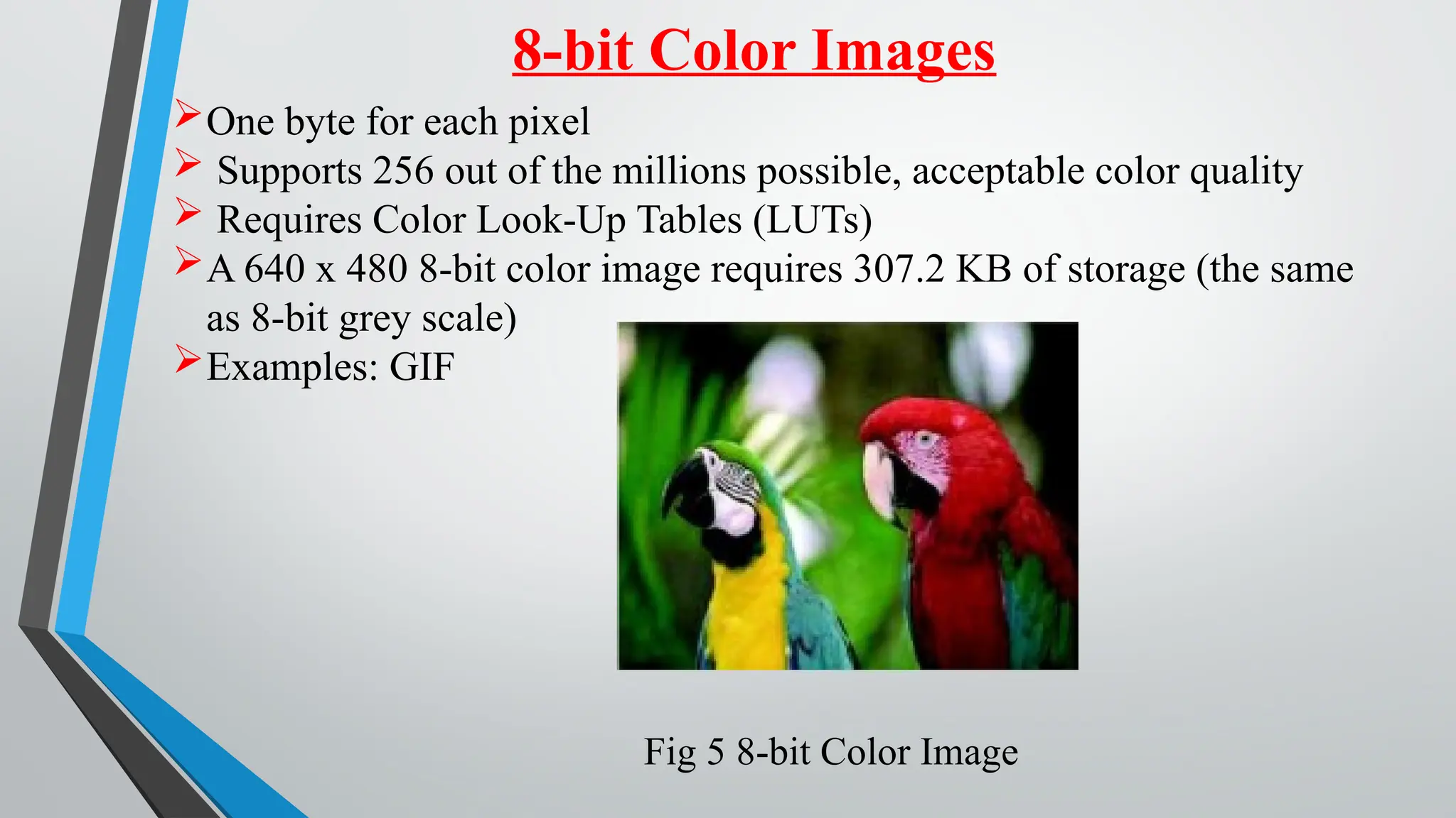 8-bit Color Images
One byte for each pixel
 Supports 256 out of the millions possible, acceptable color quality
 Requires Color Look-Up Tables (LUTs)
A 640 x 480 8-bit color image requires 307.2 KB of storage (the same
as 8-bit grey scale)
Examples: GIF
Fig 5 8-bit Color Image
 