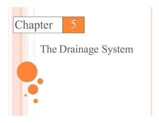 Chapter
The Drainage System
5
 