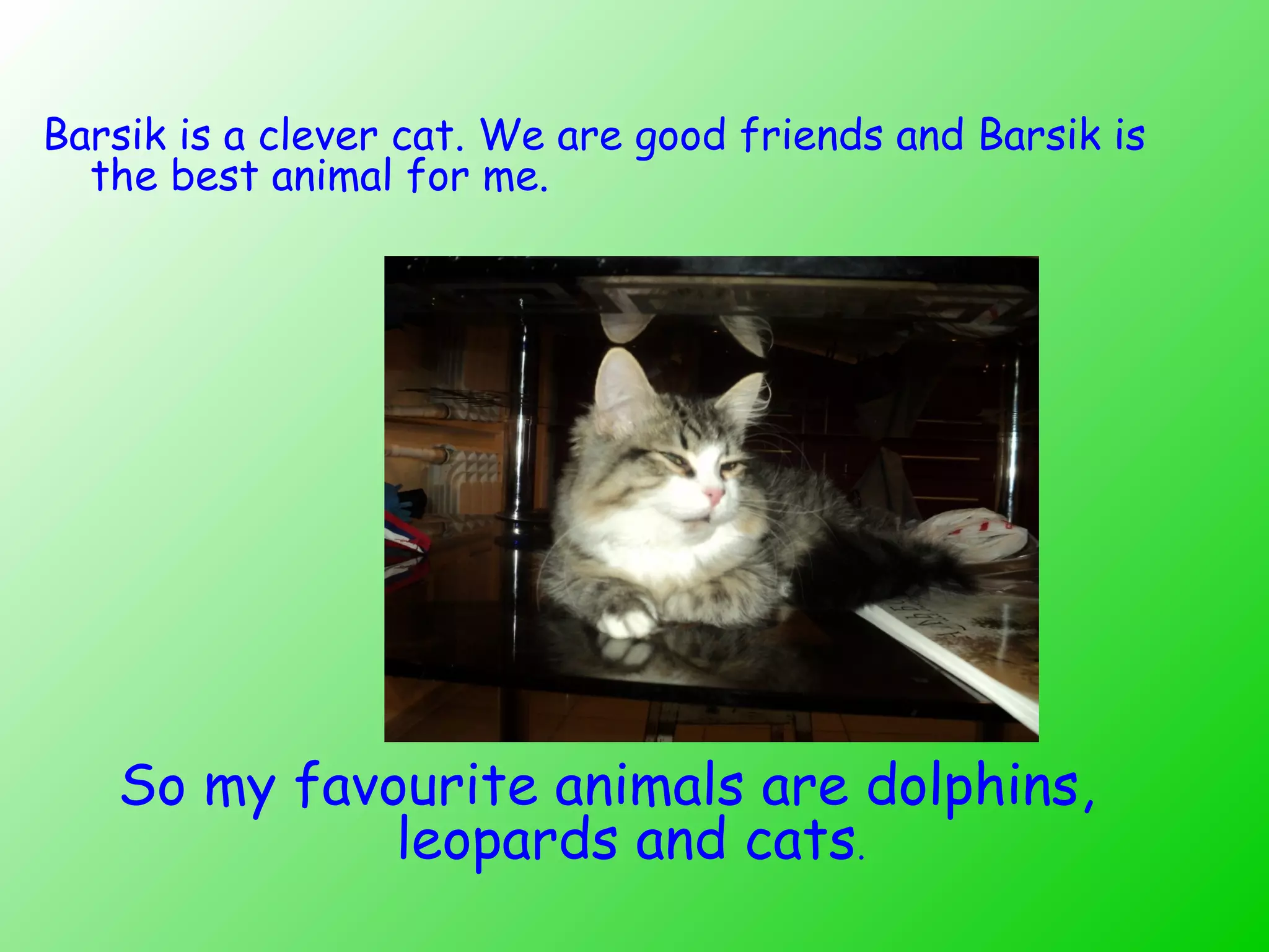 Barsik is a clever cat. We are good friends and Barsik is
the best animal for me.
So my favourite animals are dolphins,
leopards and cats.