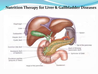 Nutrition Therapy for Liver & Gallbladder Diseases
 