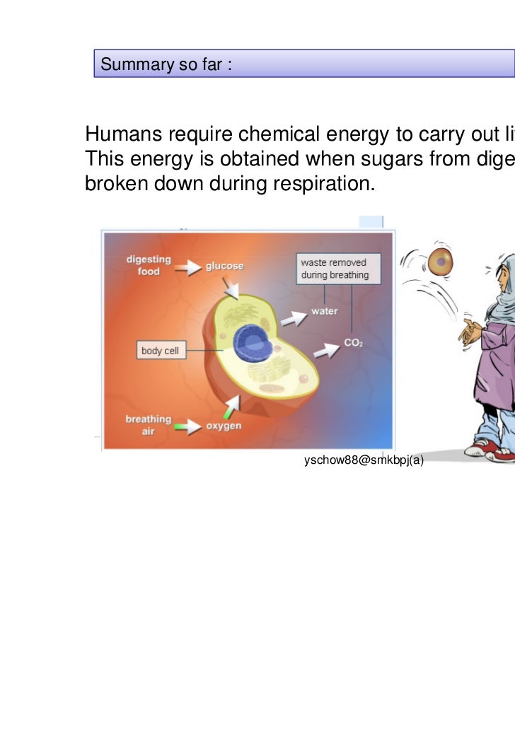 science form 1 chapter 1 pdf