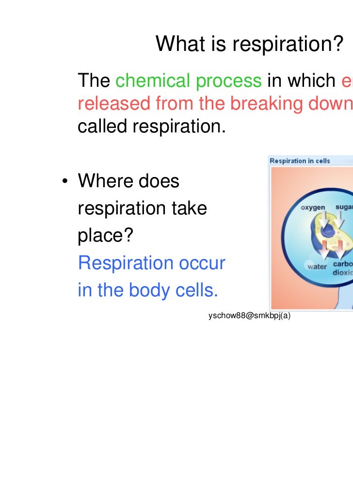 Science Form 2 Kssm / Tajuk Tajuk Bagi Sains Tingkatan 2 Kssm / Chapter