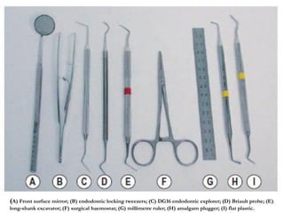(A) Front surface mirror; (B) endodontic locking tweezers; (C) DG16 endodontic explorer; (D) Briault probe; (E)
long-shank excavator; (F) surgical haemostat; (G) millimetre ruler; (H) amalgam plugger; (I) flat plastic.
 