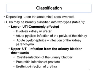 microbiology urinary tract infections ppt. | PDF