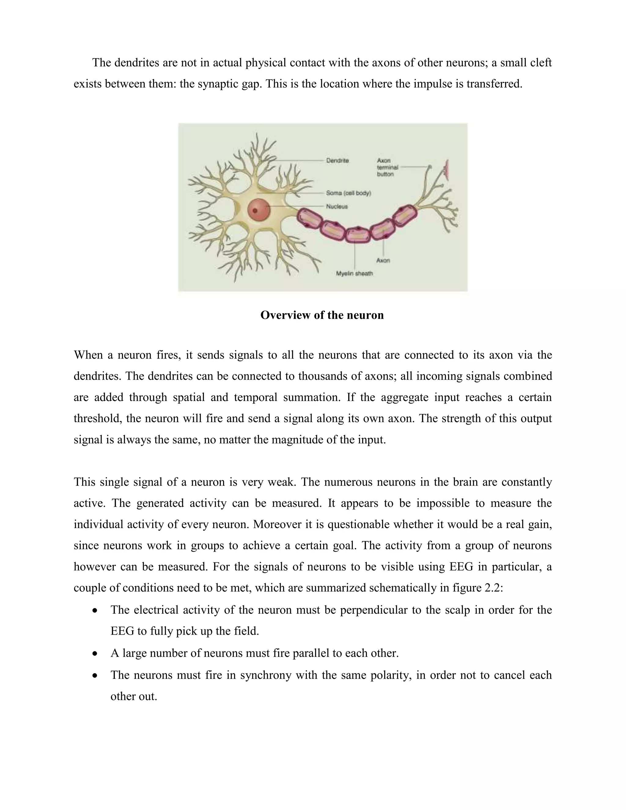 The dendrites are not in actual physical contact with the axons of other neurons; a small cleft
exists between them: the synaptic gap. This is the location where the impulse is transferred.




                                         Overview of the neuron


When a neuron fires, it sends signals to all the neurons that are connected to its axon via the
dendrites. The dendrites can be connected to thousands of axons; all incoming signals combined
are added through spatial and temporal summation. If the aggregate input reaches a certain
threshold, the neuron will fire and send a signal along its own axon. The strength of this output
signal is always the same, no matter the magnitude of the input.


This single signal of a neuron is very weak. The numerous neurons in the brain are constantly
active. The generated activity can be measured. It appears to be impossible to measure the
individual activity of every neuron. Moreover it is questionable whether it would be a real gain,
since neurons work in groups to achieve a certain goal. The activity from a group of neurons
however can be measured. For the signals of neurons to be visible using EEG in particular, a
couple of conditions need to be met, which are summarized schematically in figure 2.2:
       The electrical activity of the neuron must be perpendicular to the scalp in order for the
       EEG to fully pick up the field.
       A large number of neurons must fire parallel to each other.
       The neurons must fire in synchrony with the same polarity, in order not to cancel each
       other out.
 