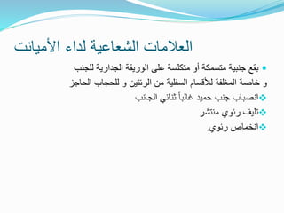 ‫األميانت‬ ‫لداء‬ ‫الشعاعية‬ ‫العالمات‬

‫بقع‬
‫جنبية‬
‫متسمكة‬
‫الوريقة‬ ‫على‬ ‫متكلسة‬ ‫أو‬
‫الجدارية‬
‫للجنب‬
‫الرئتين‬ ‫من‬ ‫السفلية‬ ‫لألقسام‬ ‫المغلفة‬ ‫خاصة‬ ‫و‬
‫و‬
‫الحاجز‬ ‫للحجاب‬

‫الجانب‬ ‫ثنائي‬ ً‫ا‬‫غالب‬ ‫حميد‬ ‫جنب‬ ‫انصباب‬

‫منتشر‬ ‫رئوي‬ ‫تليف‬

‫رئوي‬ ‫انخماص‬
.
 