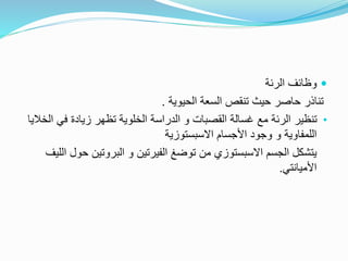 
‫الرئة‬ ‫وظائف‬
‫الحيوية‬ ‫السعة‬ ‫تنقص‬ ‫حيث‬ ‫حاصر‬ ‫تناذر‬
.
•
‫القصبات‬ ‫غسالة‬ ‫مع‬ ‫الرئة‬ ‫تنظير‬
‫و‬
‫في‬ ‫زيادة‬ ‫تظهر‬ ‫الخلوية‬ ‫الدراسة‬
‫الخاليا‬
‫اللمفاوية‬
‫و‬
‫األجسام‬ ‫وجود‬
‫االسبستوزية‬
‫الجسم‬ ‫يتشكل‬
‫االسبستوزي‬
‫من‬
‫توضغ‬
‫الفيرتين‬
‫ح‬ ‫البروتين‬ ‫و‬
‫الليف‬ ‫ول‬
‫األميانتي‬
.
 