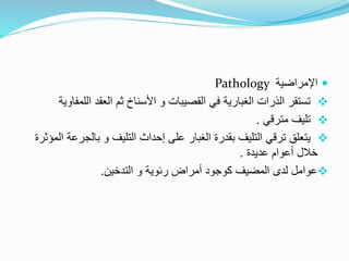 
‫اإلمراضية‬
Pathology

‫اللم‬ ‫العقد‬ ‫ثم‬ ‫األسناخ‬ ‫و‬ ‫القصيبات‬ ‫في‬ ‫الغبارية‬ ‫الذرات‬ ‫تستقر‬
‫فاوية‬

‫مترقي‬ ‫تليف‬
.

‫التليف‬ ‫إحداث‬ ‫على‬ ‫الغبار‬ ‫بقدرة‬ ‫التليف‬ ‫ترقي‬ ‫يتعلق‬
‫و‬
‫بالجر‬
‫المؤثرة‬ ‫عة‬
‫عديدة‬ ‫أعوام‬ ‫خالل‬
.

‫رئوية‬ ‫أمراض‬ ‫كوجود‬ ‫المضيف‬ ‫لدى‬ ‫عوامل‬
‫و‬
‫التدخين‬
.
 