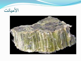 ‫األميانت‬
 