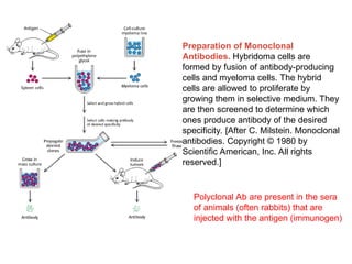 Advanced Molecular Techniques for Gene Structure and Function Analysis ...