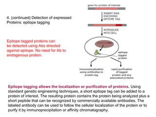 Advanced Molecular Techniques for Gene Structure and Function Analysis ...